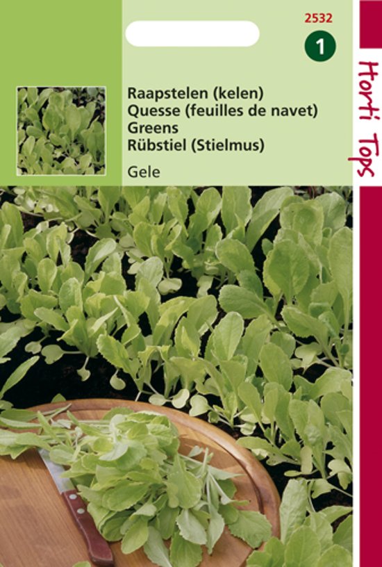 Raapsteel gele (Brassica campestris)